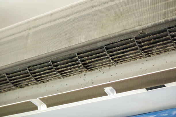 Best Air Quality Test  in Five Corners, WA
